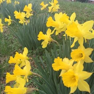 Meet your Posher, Bridget